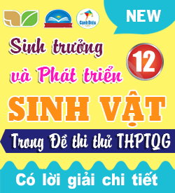 Sinh trưởng và Phát triển ở Sinh vật (VD_VDC)